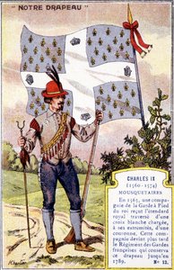 Lo stendardo dei Moschettieri di Carlo IX da School French