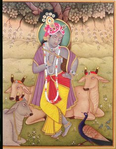 Shri Krishna da School Indian