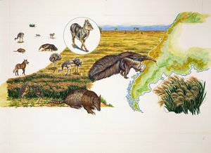 Argentina, le Pampas da School Italian