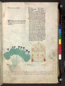 Egerton 747 Tractatus de herbis (Erbario) c.1280-1310 da School Italian