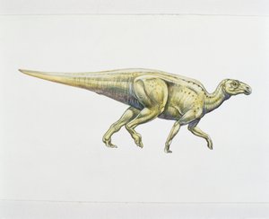 Dinosauro adrosauride o a becco d