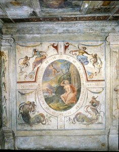 Parete nel bagno di Cosimo I de