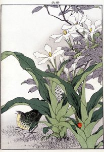 Uccello tra i fiori - Stampa giapponese da Japanese School