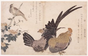 Gallo, gallina e uccello da School Japanese
