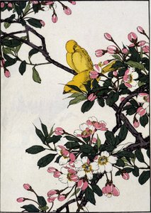 Serini su un ramo di ciliegio in fiore - Stampa giapponese da Japanese School