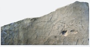 Iscrizione funeraria ebraica da Beth Loya, colline della Giudea, Israele, VI secolo a.C. da School Levantine