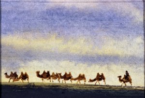 Mandria di cammelli, Mongolia - Acquerello mongolo da School Mongolian