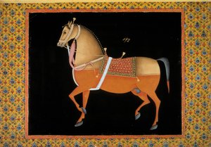 Arte moghul: rappresentazione di uno stallone. Gouache del XVIII secolo