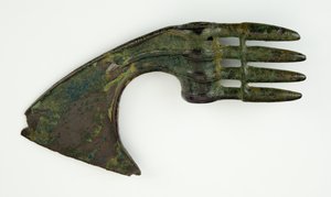 Testa d