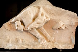 Lupa e i gemelli Romolo e Remo, II secolo da School Roman