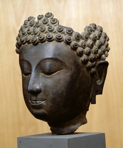 Testa di Buddha che guarda in basso, cultura Lan Na