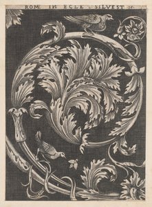 Speculum Romanae Magnificentiae: Foliage ornamentale dalle chiese da School of Raphael