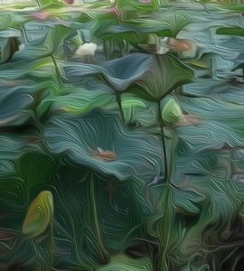 Stagno di ninfee da Scott J. Davis