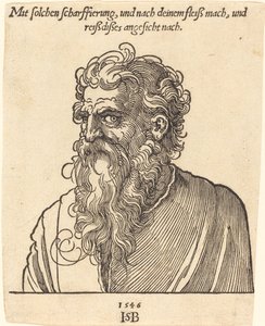 Ritratto di un uomo anziano rivolto a sinistra da Sebald Beham