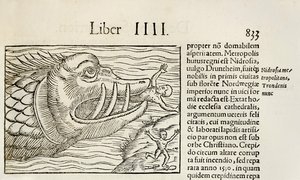 Balena mostruosa che divora umani, dall