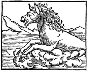Mostro marino