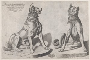 Speculum Romanae Magnificentiae: Due cani da Sebastiano di Re