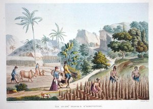 Lavoratori agricoli, Guam, Filippine, da 