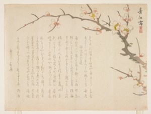 Prugno in fiore