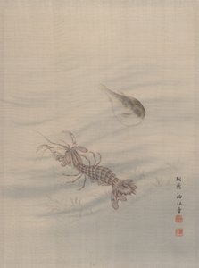 Fondo del mare che mostra gamberi, ca. 1890-92