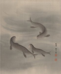 Lontra che nuotano, ca. 1890-92
