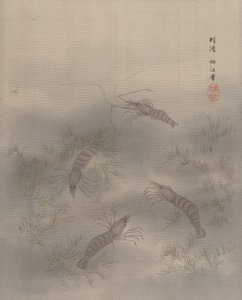 Gambero Ebi, ca. 1890-92