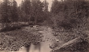 Fiume Marion al campo di Bassett