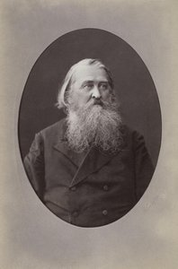 Ritratto del poeta Aleksey Nikolayevich Pleshcheyev 1825-1893, 1870