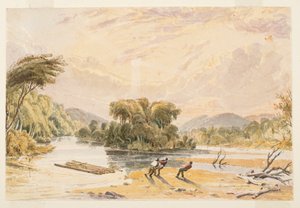 Veduta sessanta miglia sopra St. Louis, n. 56 da Seth Eastman
