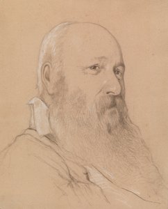 Ritratto di uomo barbuto da Severin Falkman
