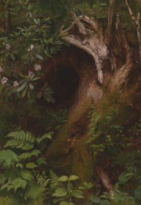 Lo scoiattolo, 1860s-1870s da Seymour Joseph Guy