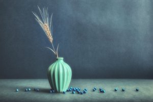 Natura morta con grano sereno