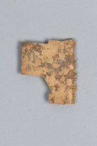 Frammento di osso divinatorio (conchiglia)
