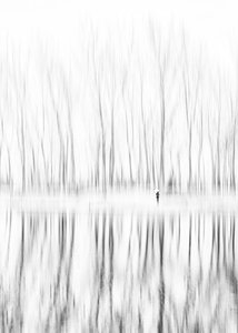 Figura solitaria - Riflesso invernale da Shanrui Ren