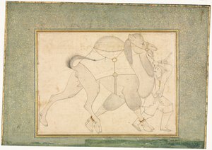 Cammello e Stalliere, Illustrazione a Pagina Singola, c. 1545-1576
