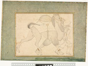 Cammello e groom, c.1545-76 da Shaykh Muhammad