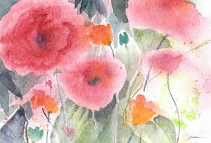 Papaveri rosa dipinti ad acquerello
