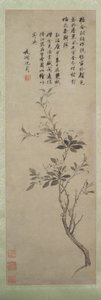 Melo in fiore da Shen Zhou