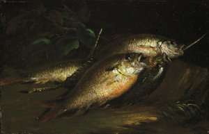 Pesce