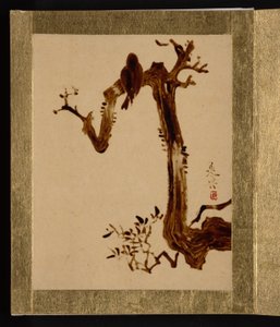 Krähe auf Baum da Shibata Zeshin