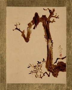 Corvo su un albero da Shibata Zeshin