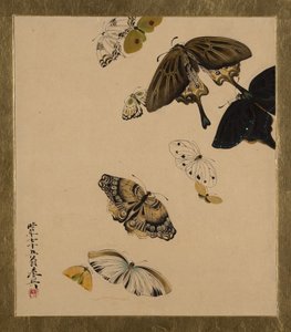 Dipinti di lacca di vari soggetti: Farfalle, datato 1881 da Shibata Zeshin