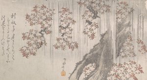 Fiori di ciliegio nella pioggia, XIX secolo da Shinsai