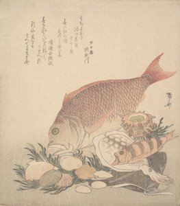 Pesci grandi e piccoli che nuotano tra conchiglie e muschi sul fondo del mare da Shinsai