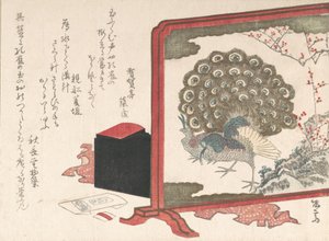 Schermo e scatola da lavoro da donna da Shinsai