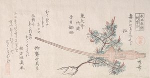 Giovane pino e il manico di un aratro da Shinsai