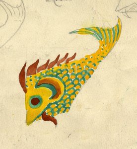 Illustrazione di Pesce da Shirley Markham
