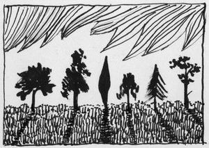 Alberi da Shirley Markham