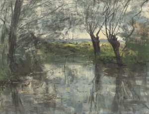 Stagno nel bosco da Siebe Johannes ten Cate
