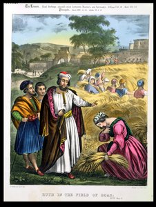 Ruth nel Campo di Boaz, da una bibbia stampata da Edward Gover, 1870